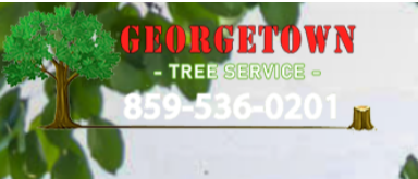   tree service georgetown	 