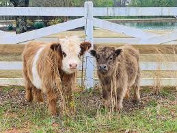 what is outpatient addiction treatment