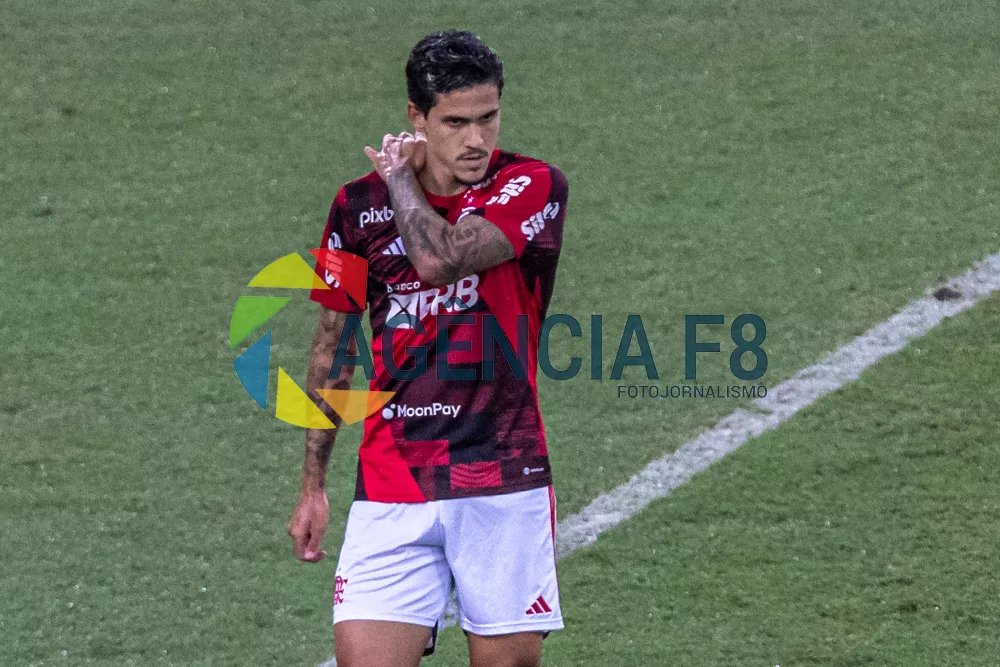 Flamengo X RB Bragantino: Detalhes da partida, estatísticas