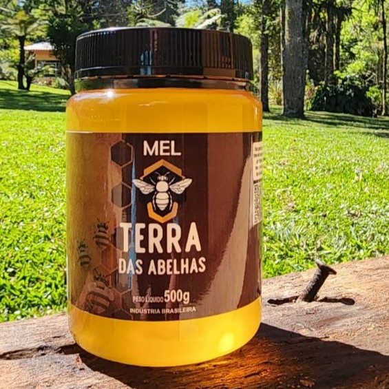 Mel 500g- Terra das Abelhas