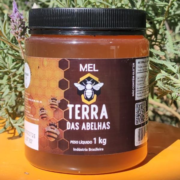 Mel 1kg- Terra das Abelhas 