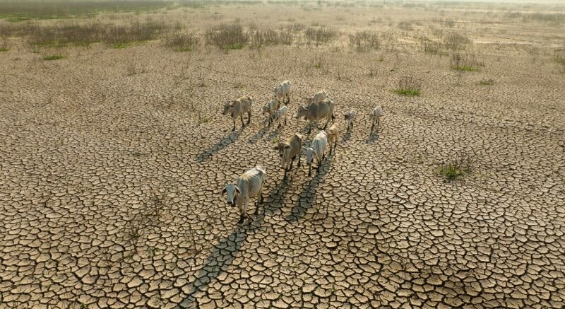 Alerta por posible llegada del fenómeno de El Niño en segundo semestre de 2026