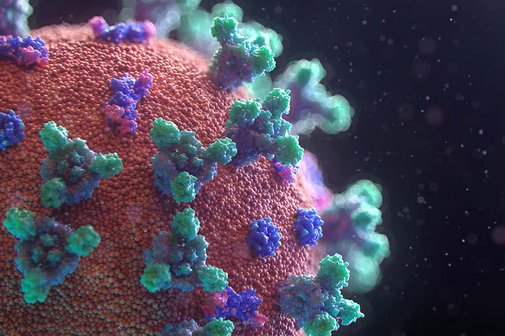 Confirman 10 muertes más por covid-19 en el Tolima n 10 muertes más por covid-19 en el Tolima