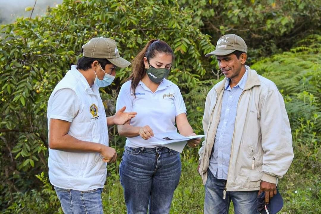 264 jóvenes hacen sus pasantías en los municipios más afectados por el conflicto armado