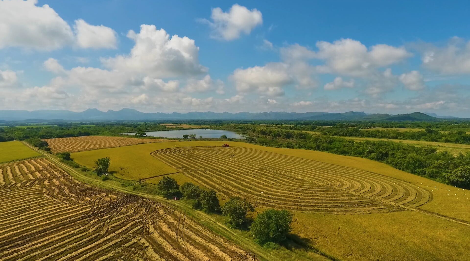 El Tolima busca abrir mercado de arroz y café en Costa Rica
