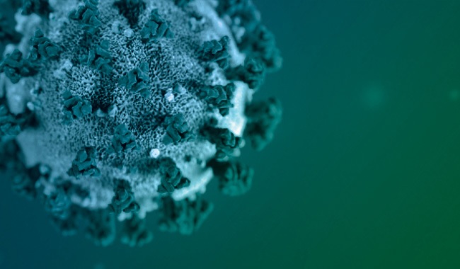 En ocho meses de pandemia, Tolima supera los 1.000 muertos por covid-19