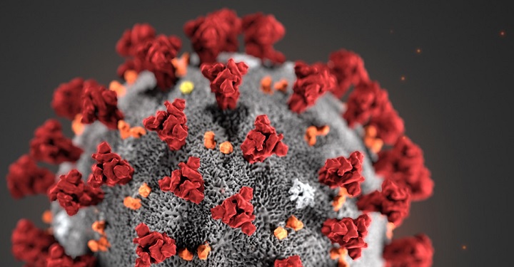 Tolima suma 481 casos de covid-19 y seis fallecidos más