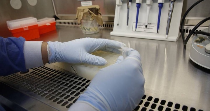 Mueren cinco personas más por covid-19 en el Tolima y reportan 176 casos nuevos