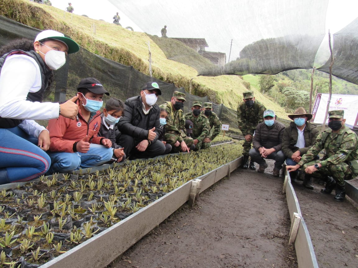 600 frailejones nuevos en Murillo