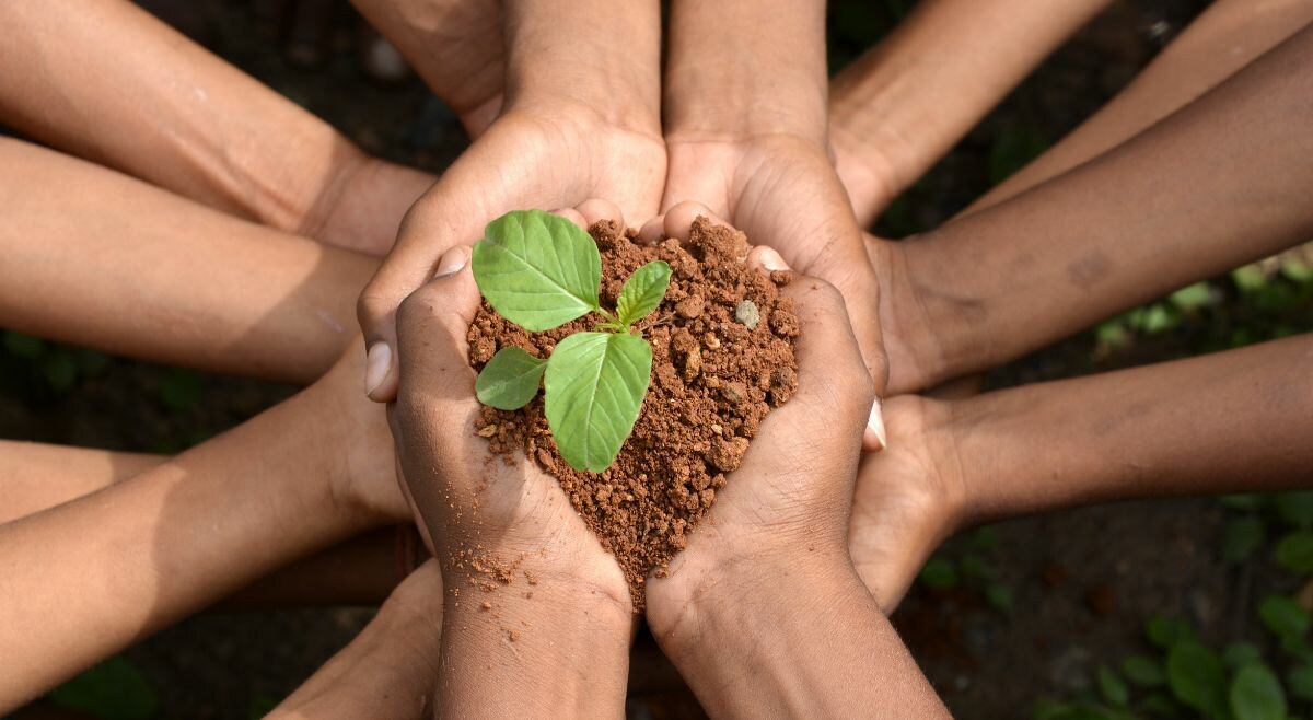 Abren convocatoria a diplomado ambiental en Ibagué: conozca cómo participar