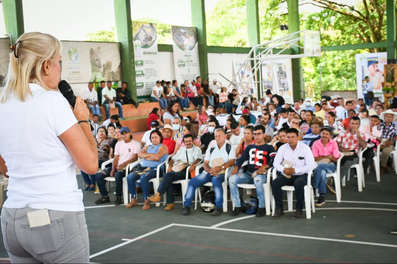 Abren convocatoria para fortalecer educación ambiental en Ibagué y El Espinal