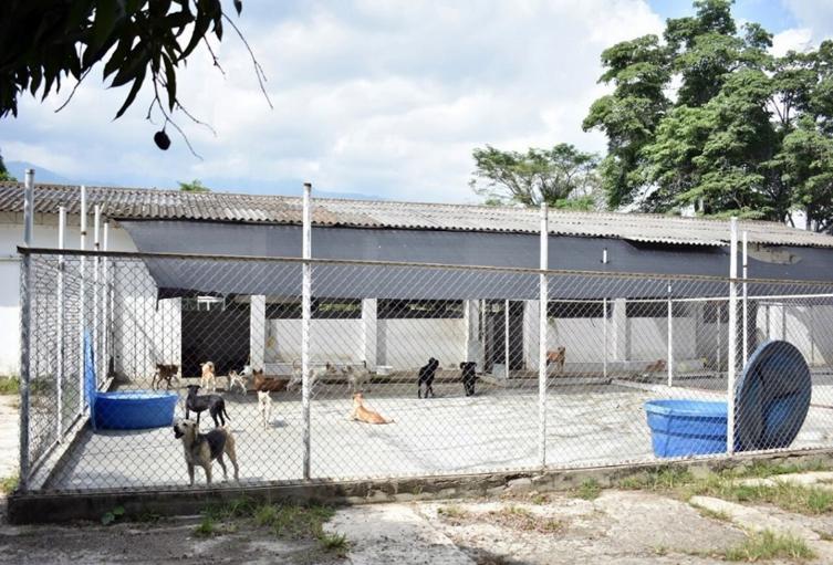 Abren licitación para la construcción del Megacapa de Ibagué