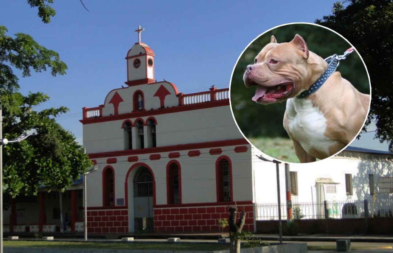 Adulta mayor falleció tras ser atacada por tres pitbull en Piedras, Tolima