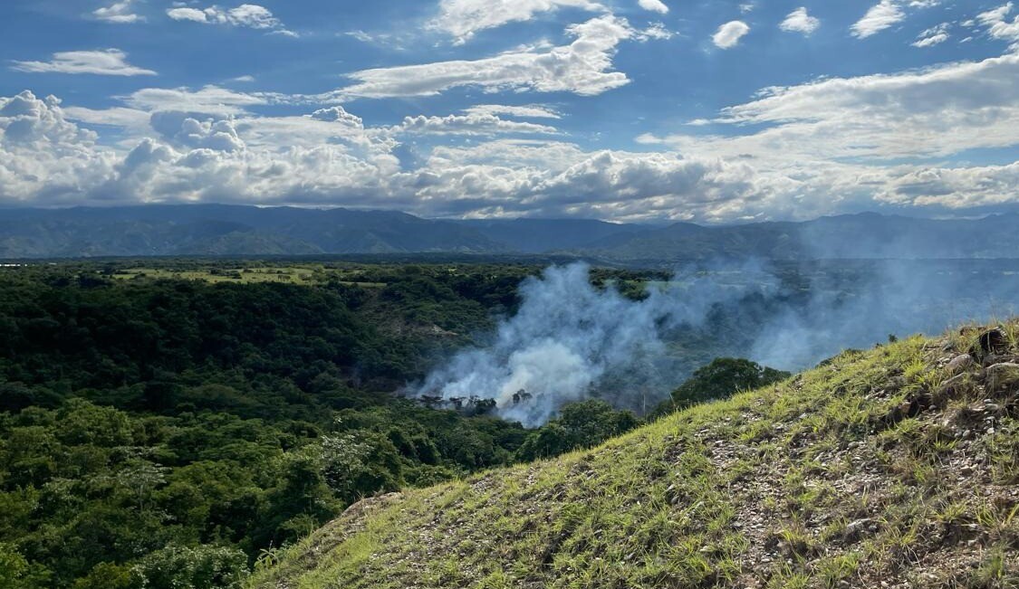 Alarma en Venadillo por quema y tala indiscriminada