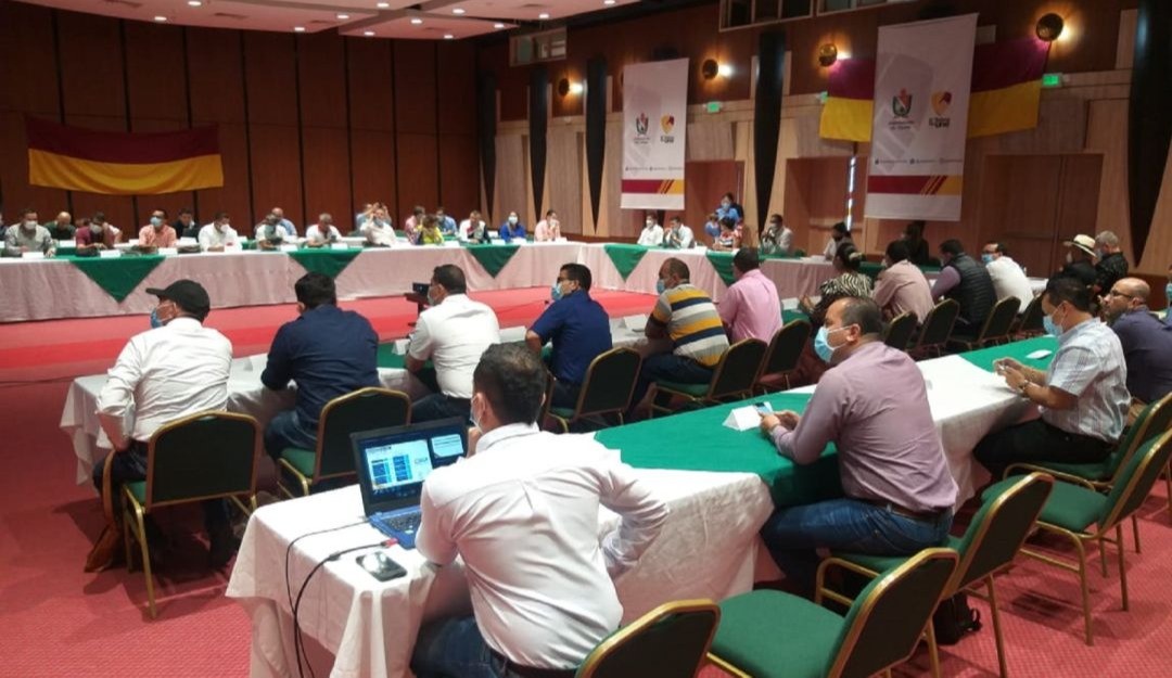 Alcaldes de OCAD sur Tolima elegirán representante