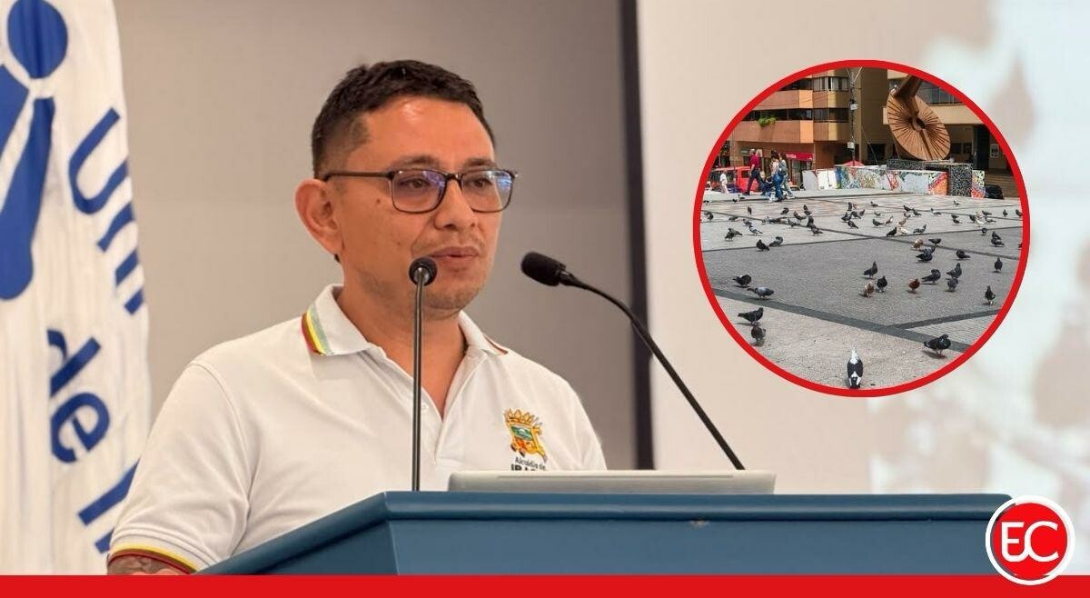 Ibagué prepara nuevas medidas para controlar la población de palomas