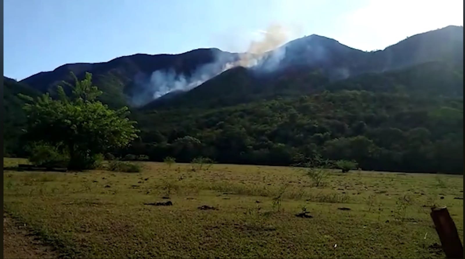 Alerta en Coello, preocupación por incendio forestal de gran magnitud