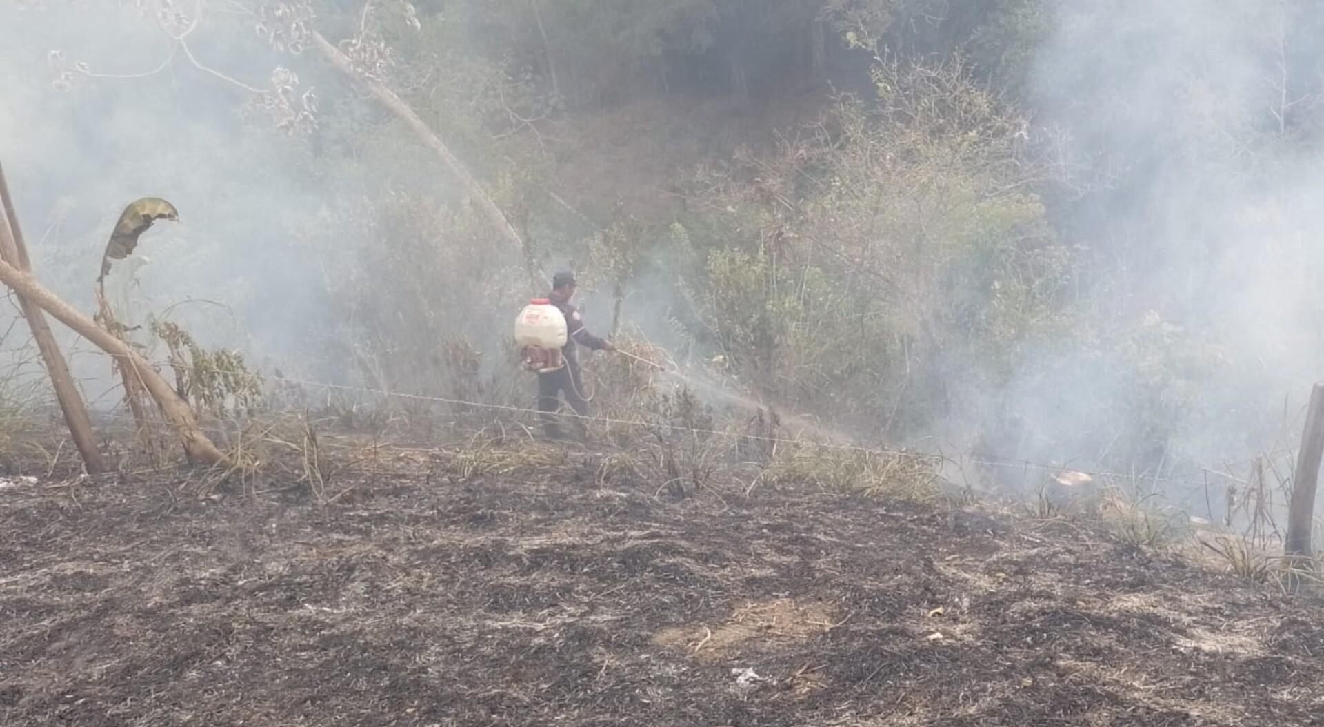 Alertas por incendios forestales y afectaciones por lluvias en municipios del Tolima