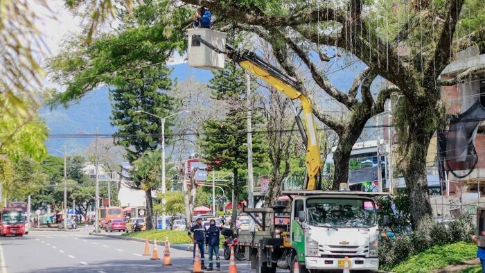 Así será el alumbrado navideño de Ibagué para ahorrar energía