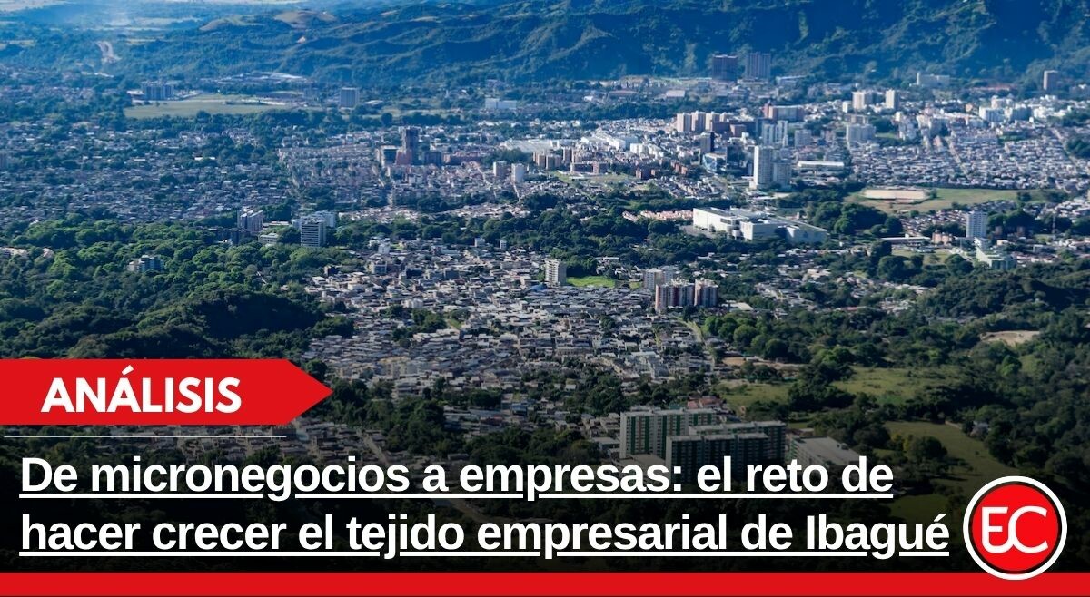 De micronegocios a empresas: el reto de hacer crecer el tejido empresarial de Ibagué