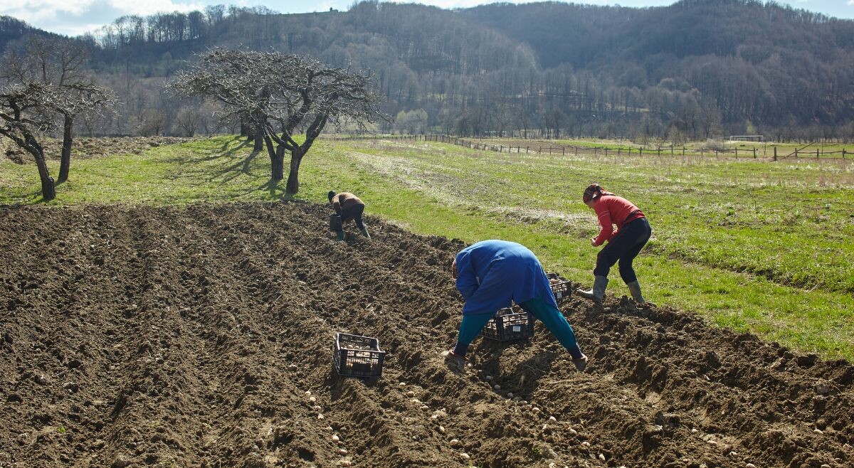 ANT alerta intimidaciones contra campesinos beneficiarios de la reforma agraria