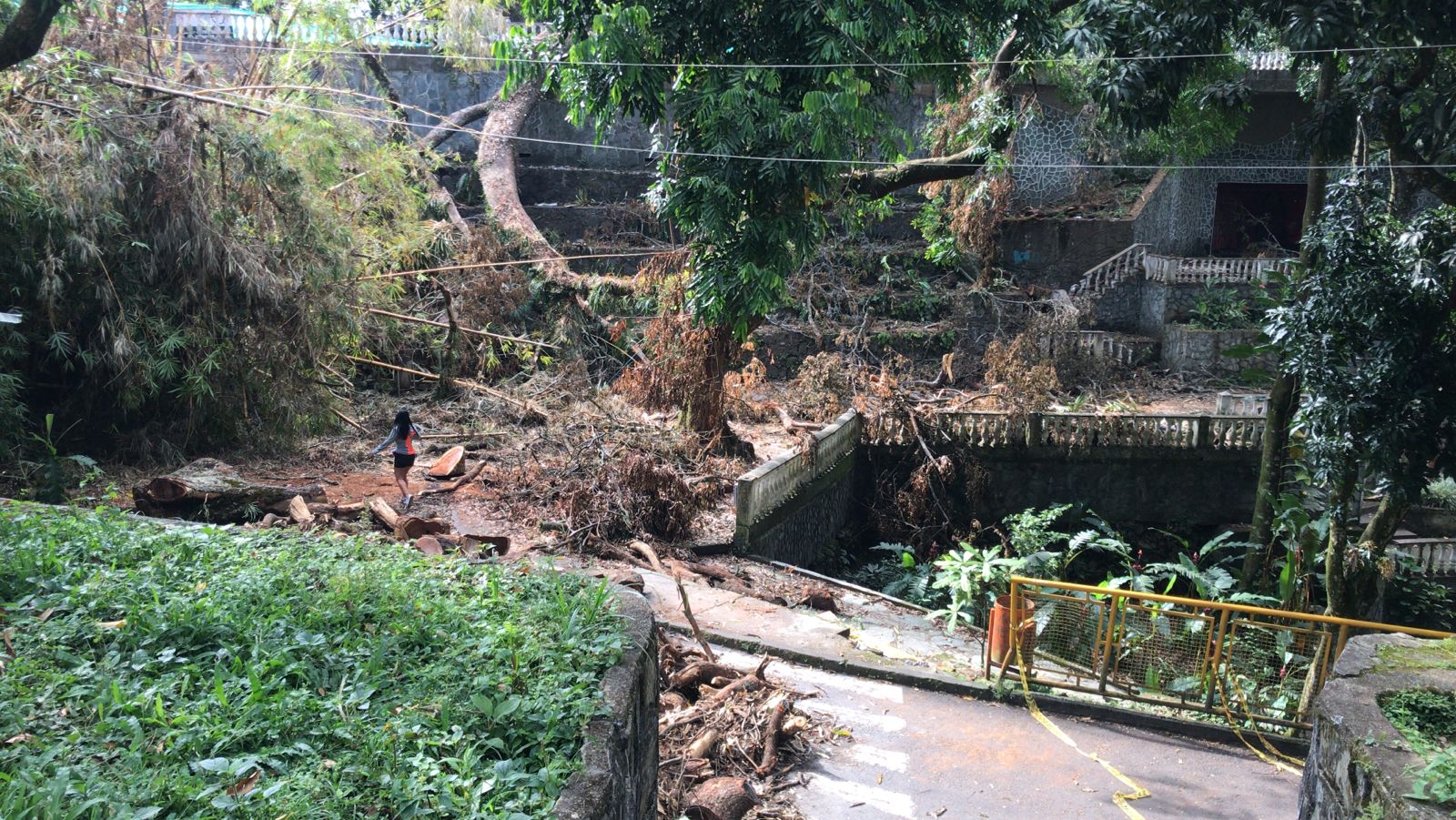 Anuncian limpieza de material vegetal en el parque Centenario