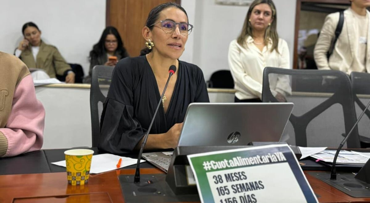 Aprueban en primer debate ley para agilizar el pago de cuotas alimentarias