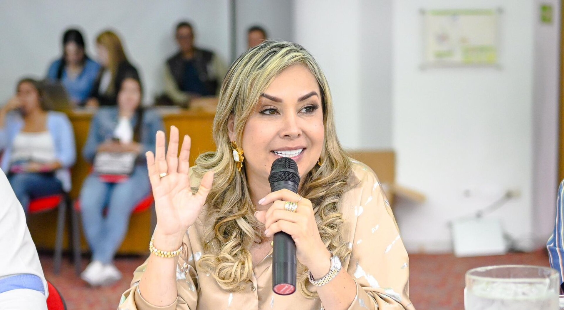 Aranda también culpa al gobierno Petro por la desfinanciación del PAE