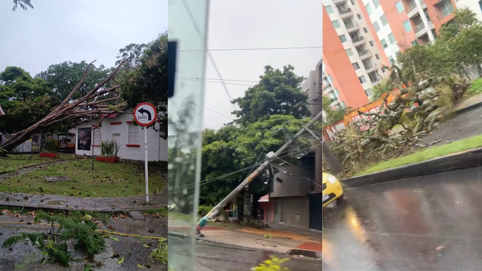 Árboles caídos, casas inundadas y apagones: el saldo de la tormenta en Ibagué