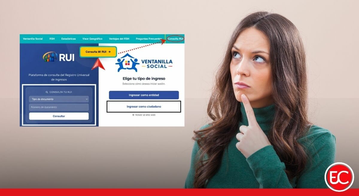 Así puede consultar el Registro Universal de Ingresos (RUI)