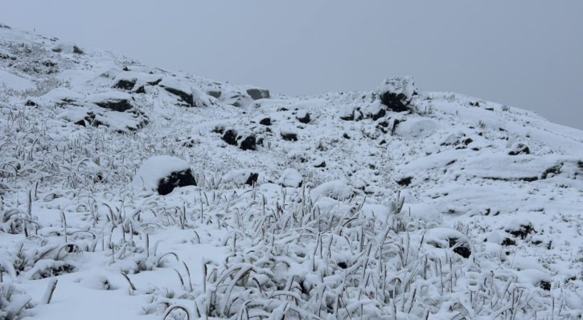 Así vivió el Tolima una de sus mayores nevadas del 2025