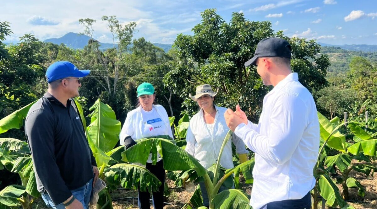Mujeres de Fresno lideran proyecto de tecnificación platanera en el Tolima