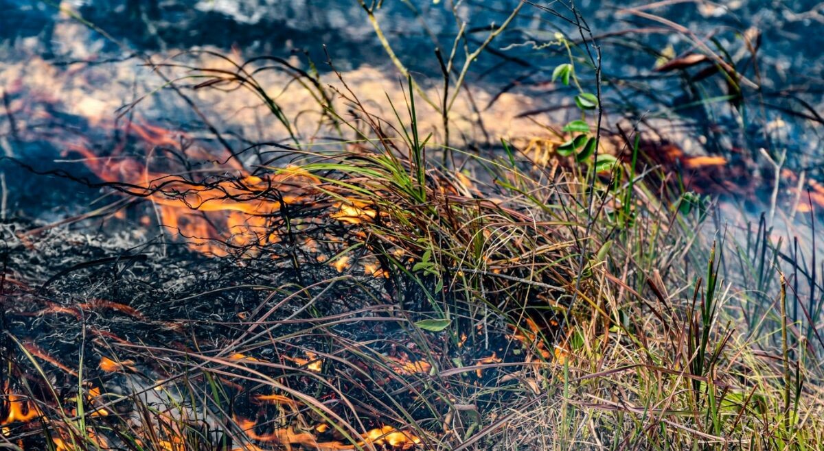Aumentan los incendios forestales en el Tolima: ya son 16 activos