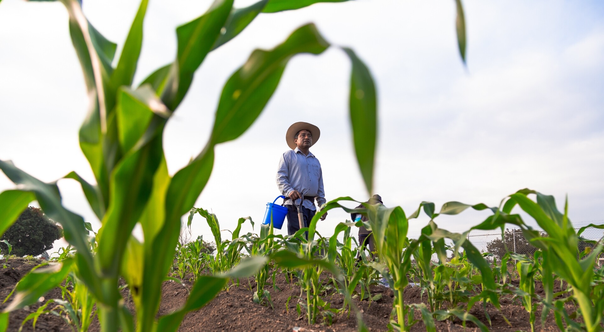 Avanza la creación de la Zona de Reserva Campesina en Chaparral