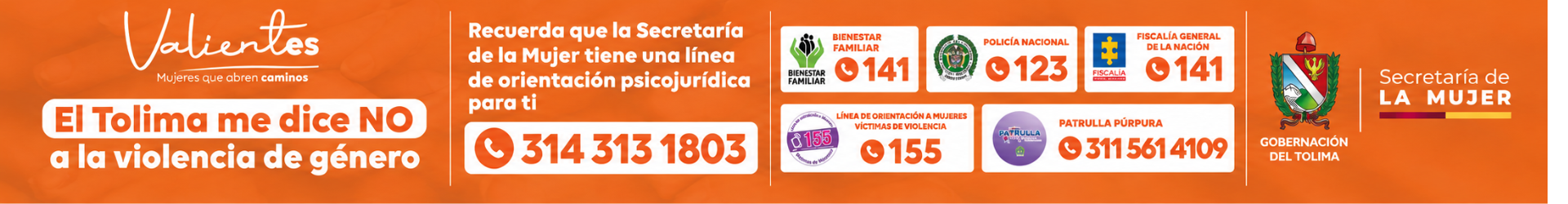 Gobernacion del Tolima