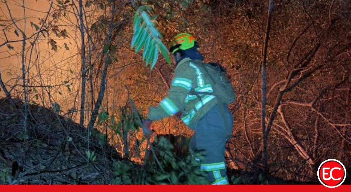 Bomberos de Bogotá apoyan extinción de incendios en el Tolima