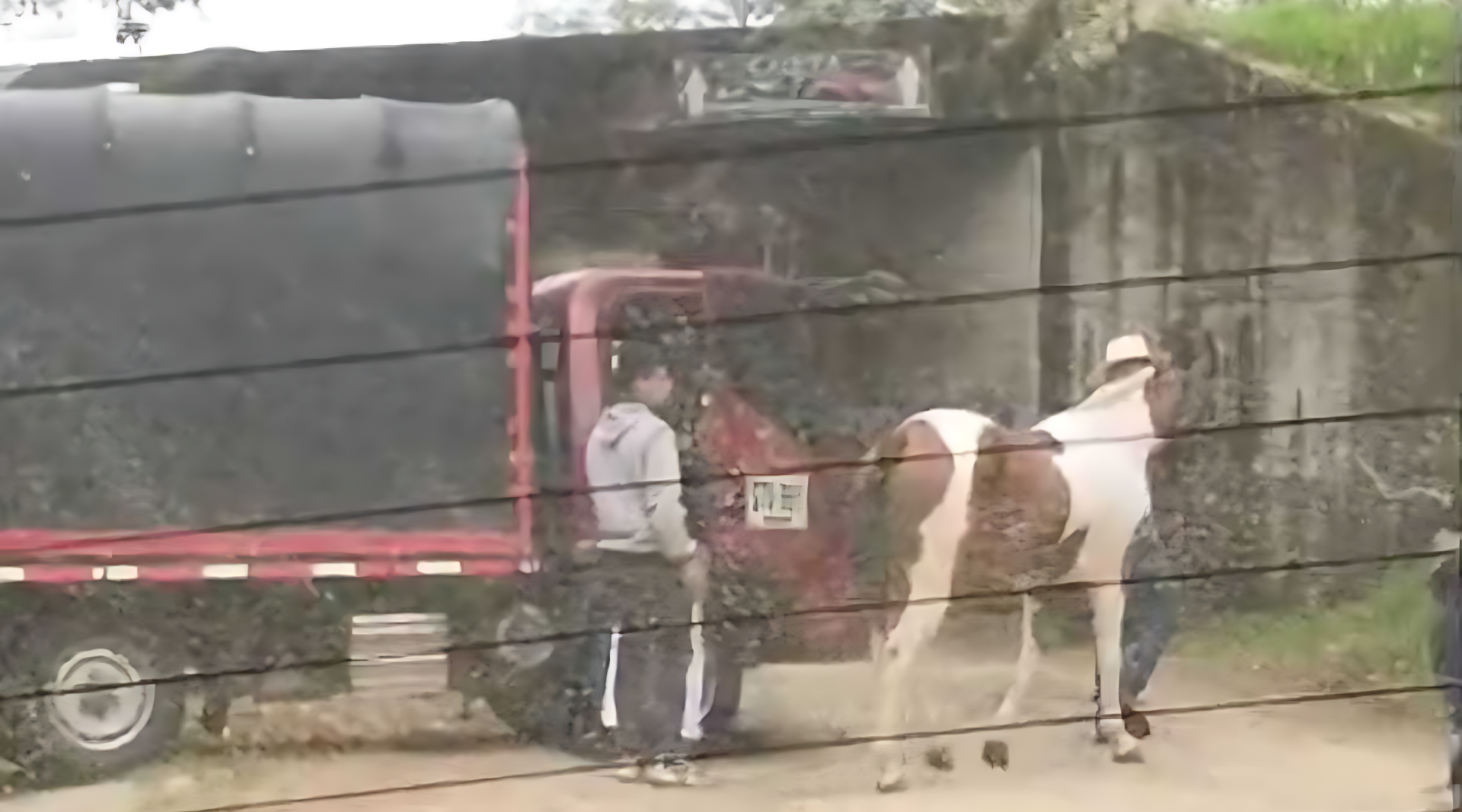 Vereda Aparco: Piques ilegales de caballos bloquean el acceso a residentes