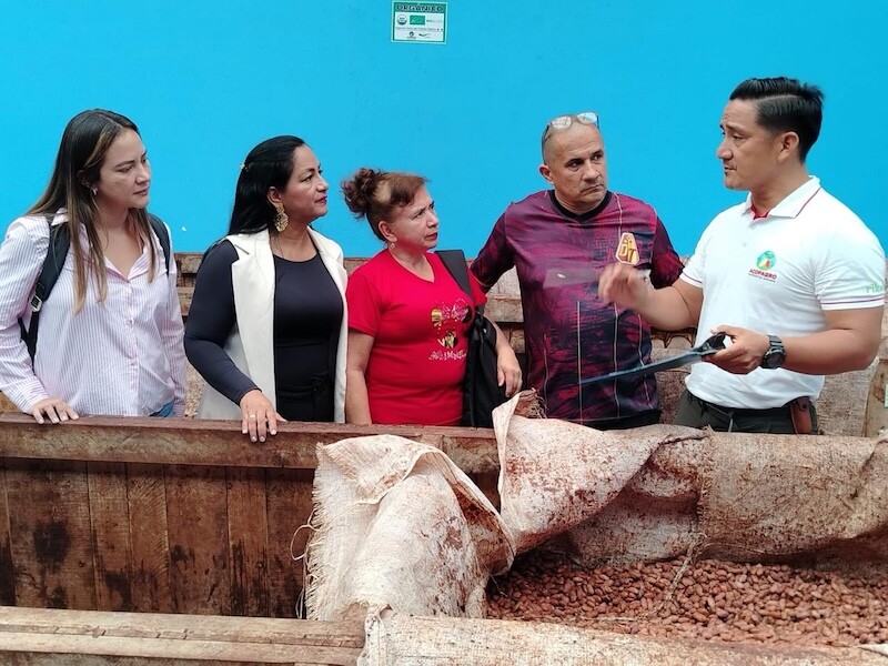El cacao del Tolima avanza en su proceso de internacionalización