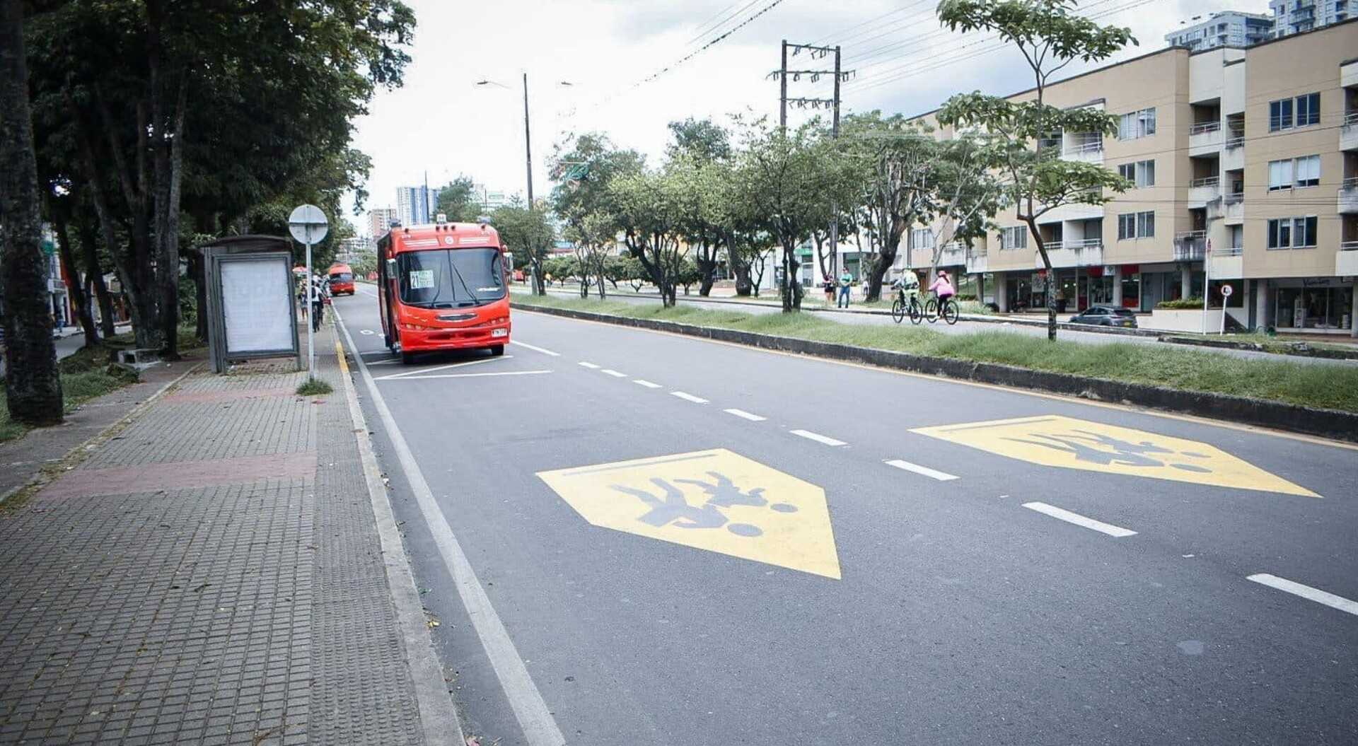 Califican de 'jugadita' el Día sin carro y sin moto voluntario en Ibagué