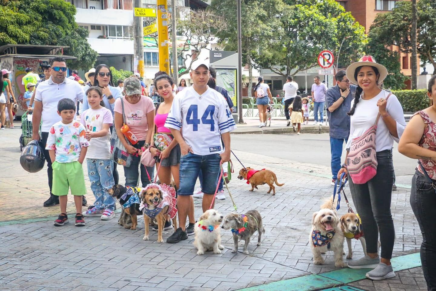 Este viernes habrá caminata de mascotas por la Carrera Tercera de Ibagué