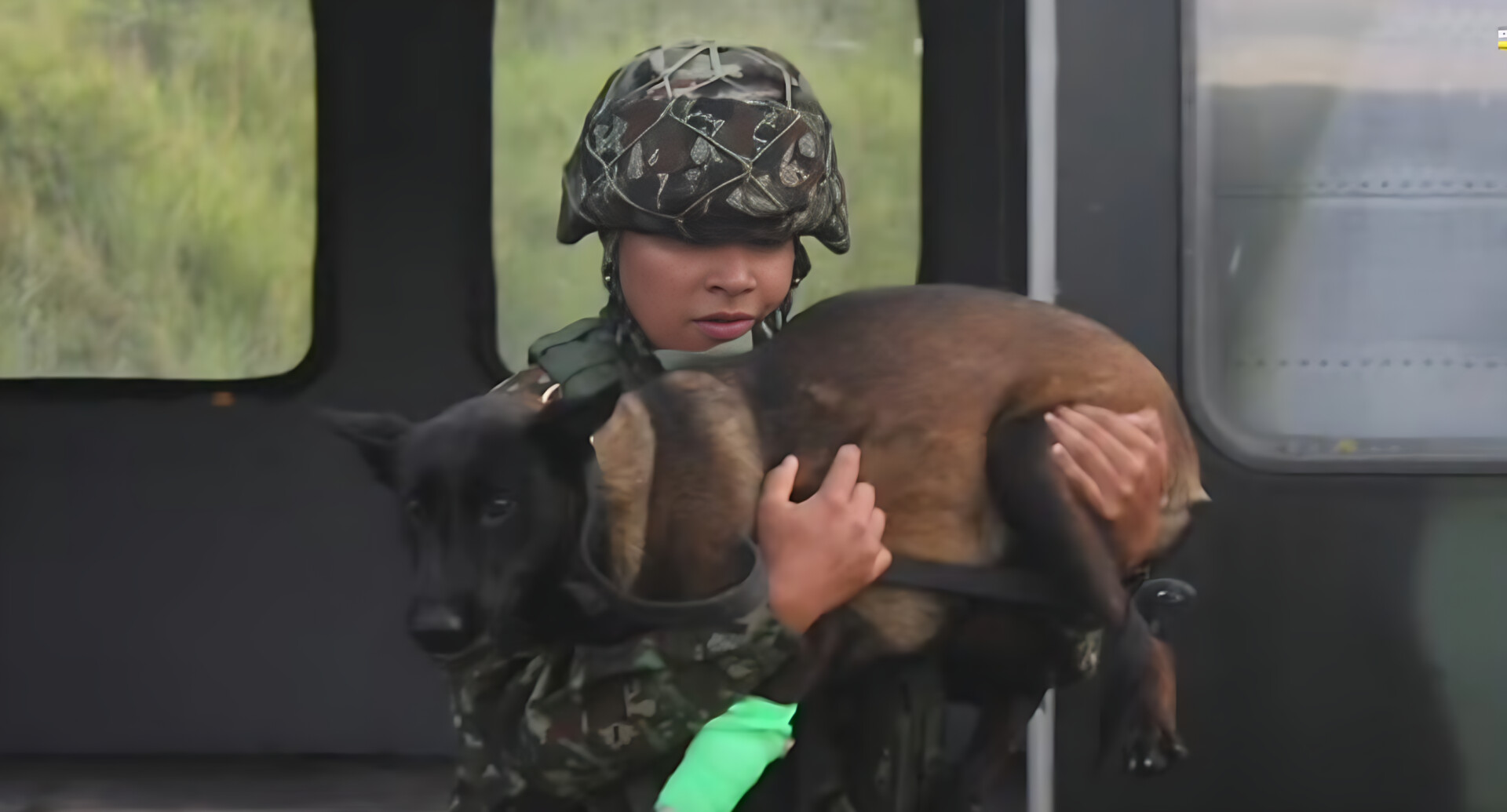 Ejército Nacional salva a Candy: Heroína de cuatro patas sobrevive a mordedura de serpiente