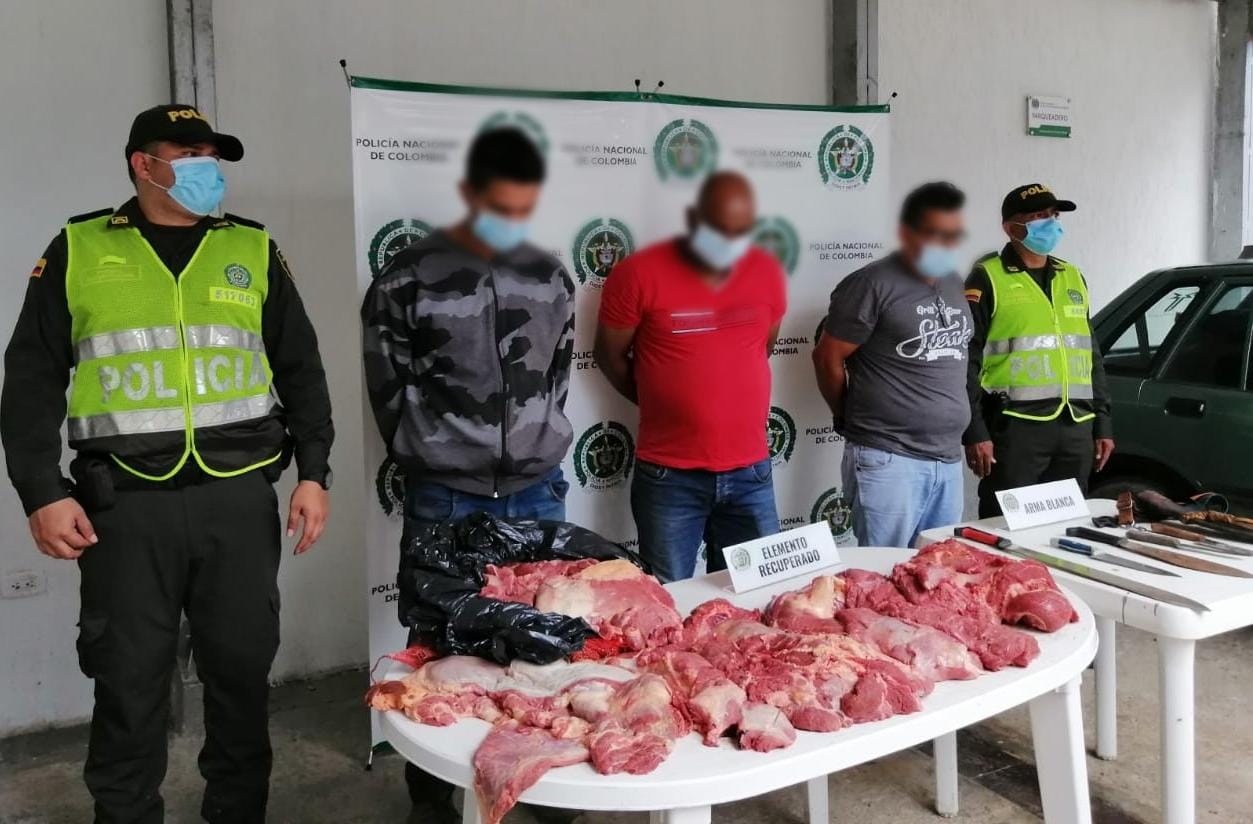 Capturados tres hombres por el abigeato de siete reses en Doima