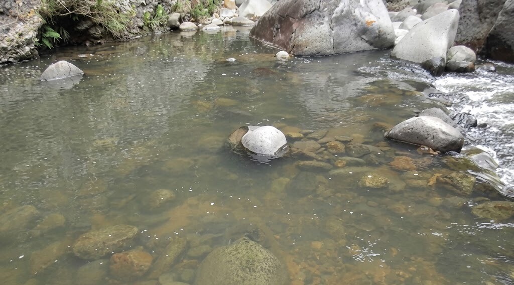 Hallan a hombre sin vida en zona rural de Chucuní