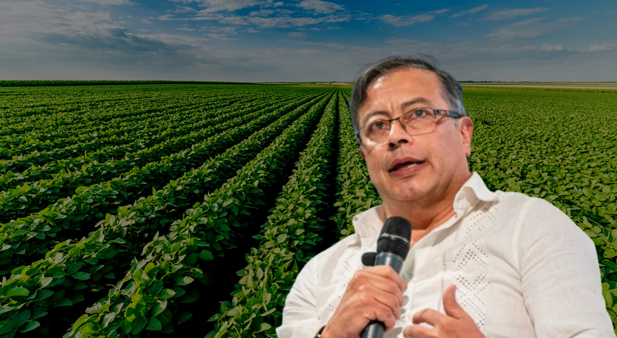 “Colombia tiene tierras aptas para cultivar, pero no las usa”: Presidente Petro