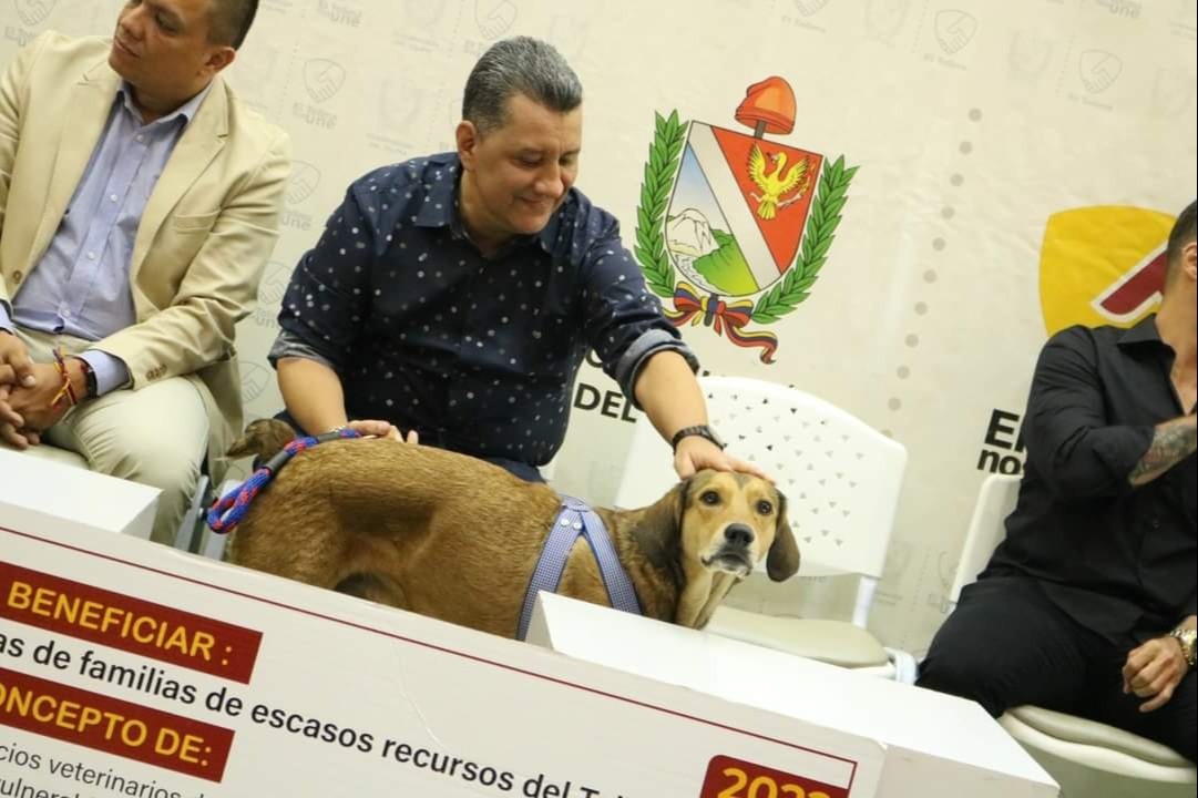 Convenio entre Gobernación y UT garantiza atención veterinaria de mascotas vulnerables