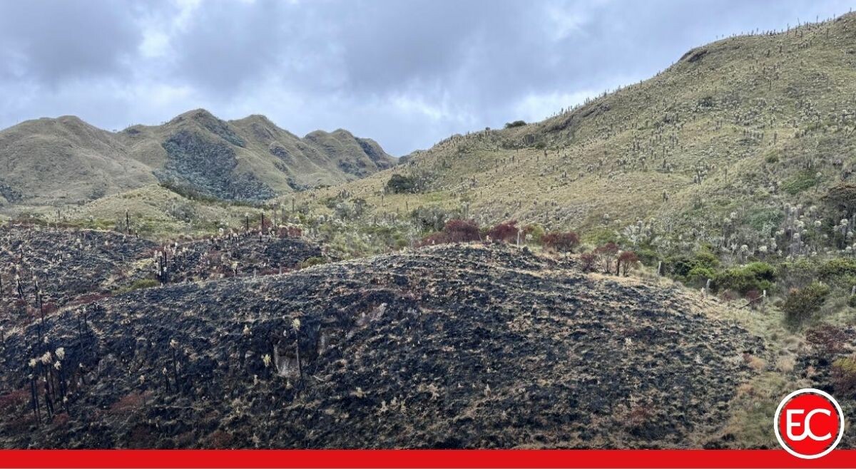 Cortolima adelanta evaluación ambiental en zonas afectadas por incendios
