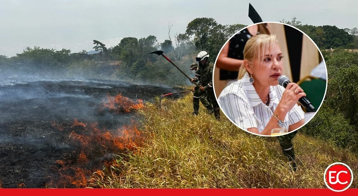 Cortolima alerta: El Niño apenas comienza y podrían aumentar los incendios en Tolima