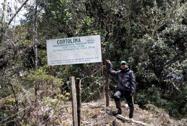 Hallan huellas de oso andino en predios de Cortolima