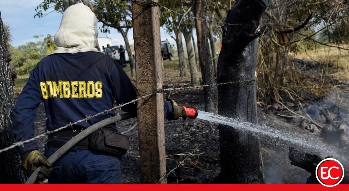 ¡Arde el Tolima! Cortolima reporta 44 incendios forestales en una semana