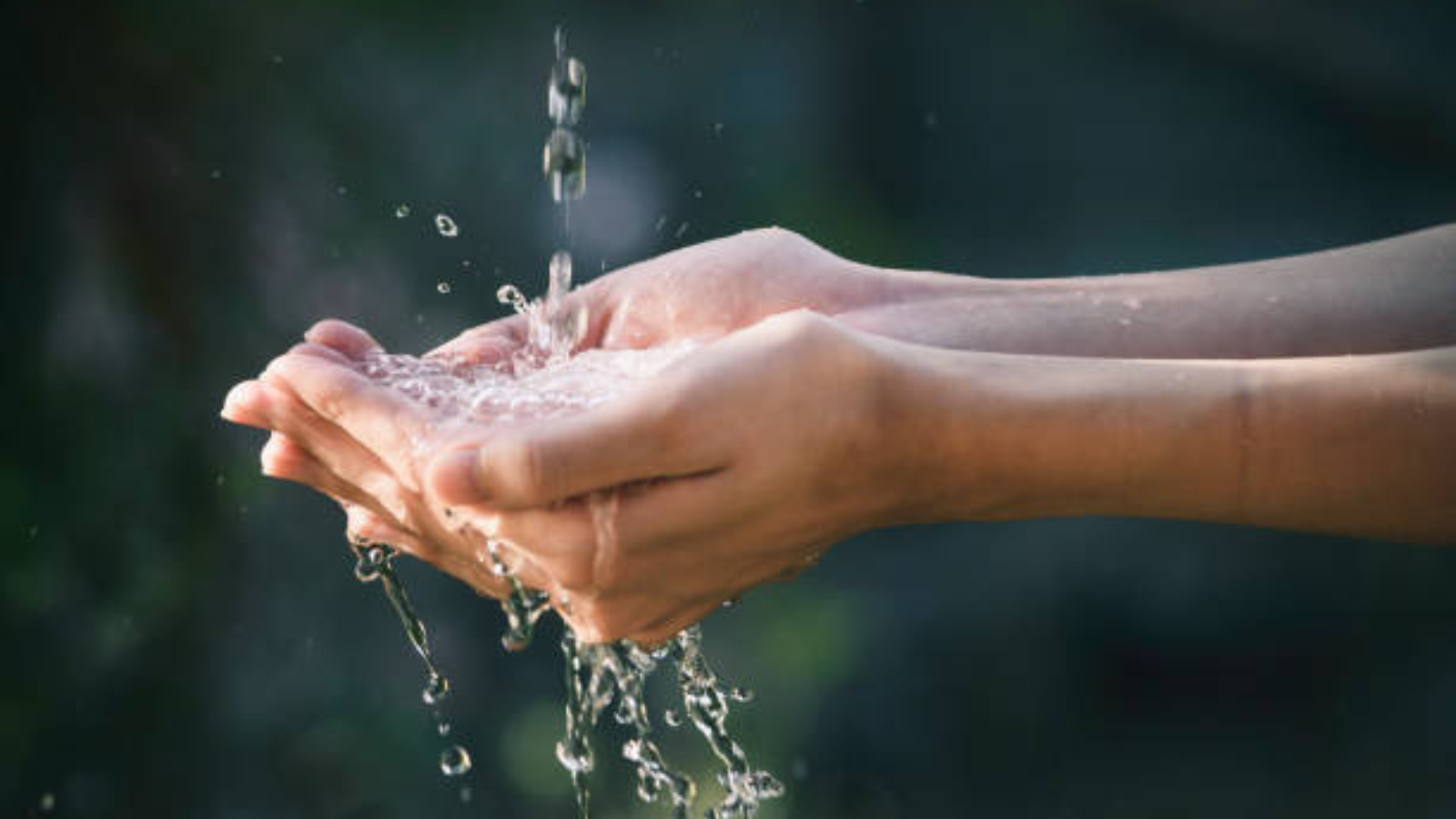 En la Semana Mundial del Agua 2025, llamado a la conciencia ambiental